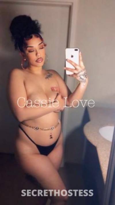 Cassie 25Yrs Old Escort Norfolk VA Image - 4