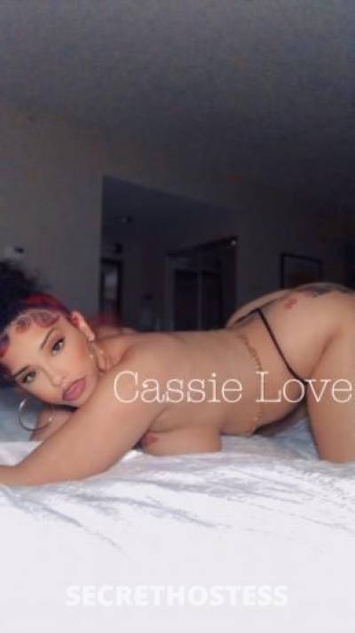 Cassie 25Yrs Old Escort Norfolk VA Image - 5