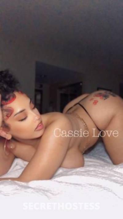 Cassie 25Yrs Old Escort Norfolk VA Image - 6