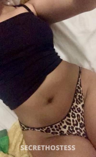 22 year old Escort in San Diego CA ..Mixed Island Mami Wet and Ready
