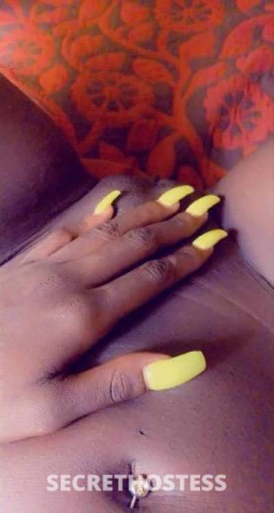 Goddess 26Yrs Old Escort Jacksonville FL Image - 0