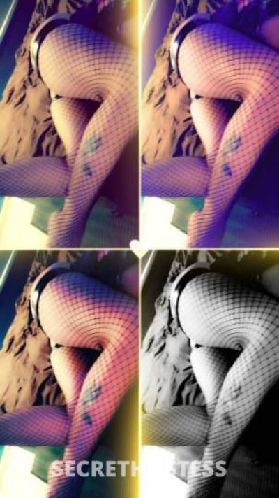 Harley 35Yrs Old Escort Wilmington DE Image - 6