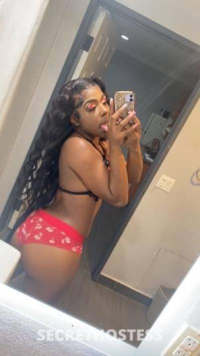 Hollysweets 20Yrs Old Escort Concord CA Image - 1