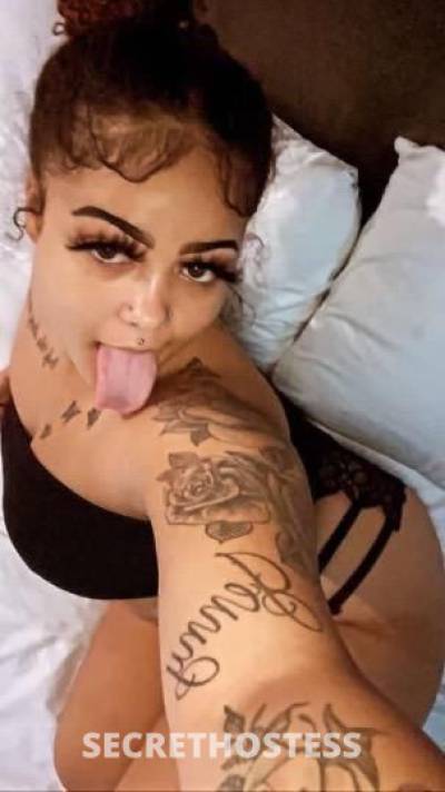 Honey 19Yrs Old Escort San Antonio TX Image - 1