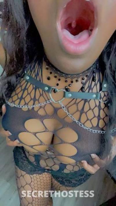 Kaye 26Yrs Old Escort Houston TX Image - 3