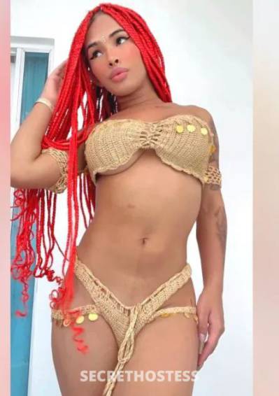 Leidy 24Yrs Old Escort North Jersey NJ Image - 1