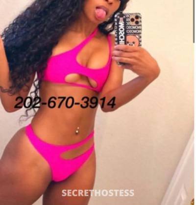 Maya 28Yrs Old Escort Washington DC Image - 3