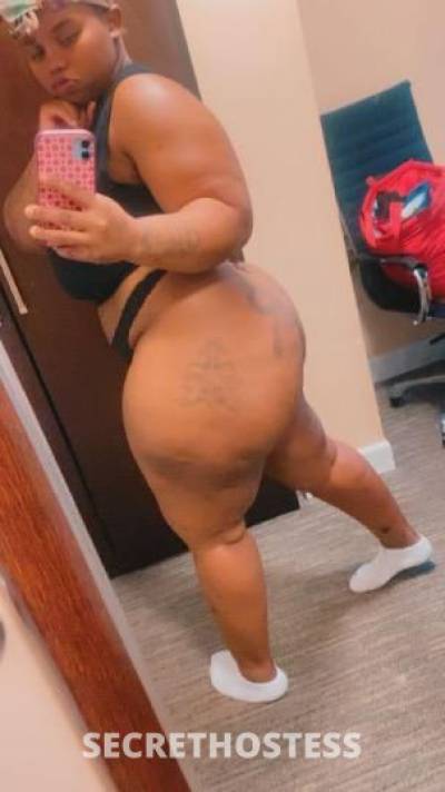 Mocha 22Yrs Old Escort Milwaukee WI Image - 0