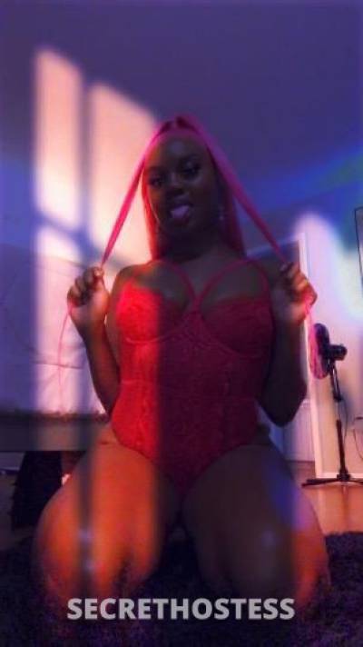 Monroe 25Yrs Old Escort Tampa FL Image - 5