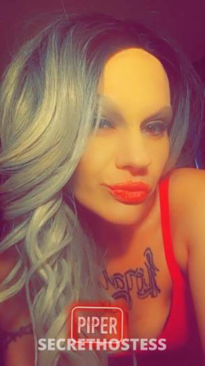 PiperScottland 27Yrs Old Escort Pittsburgh PA Image - 3