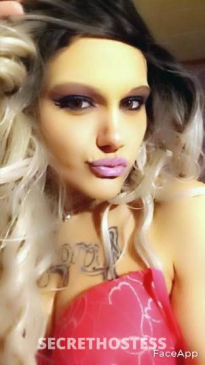 PiperScottland 27Yrs Old Escort Pittsburgh PA Image - 6