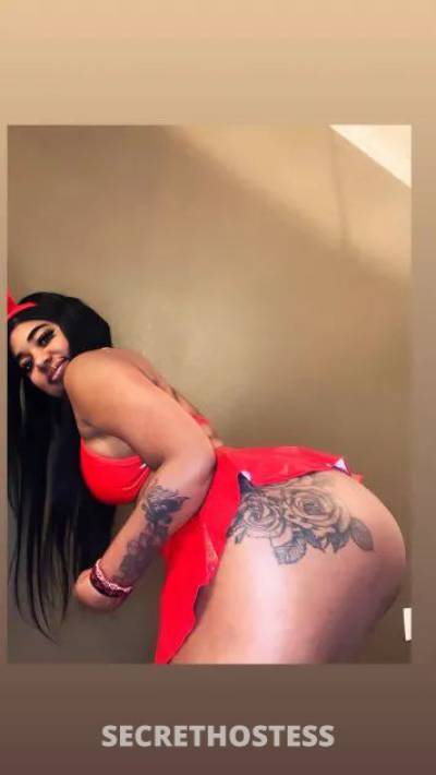 Rosa 22Yrs Old Escort Odessa TX Image - 0