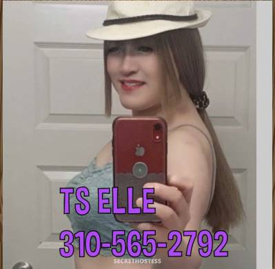 Rosa 24Yrs Old Escort Tyler TX Image - 1