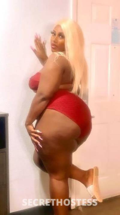 Sasha 25Yrs Old Escort Fort Worth TX Image - 3