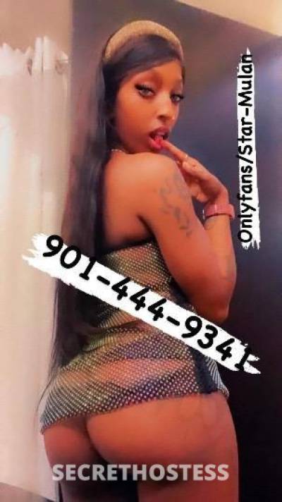 ✨Star-Mulan✨ 31Yrs Old Escort Saint Louis MO Image - 6