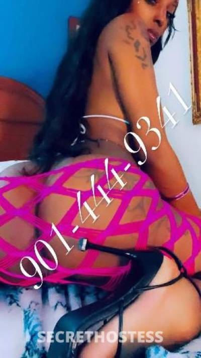 ✨Star-Mulan✨ 31Yrs Old Escort Saint Louis MO Image - 7