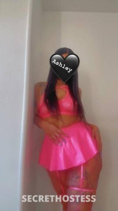 ASHLEY 27Yrs Old Escort Westchester NY Image - 2