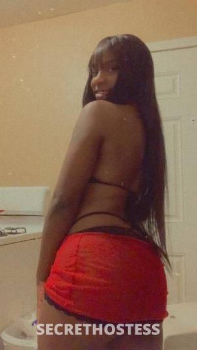 BAMBI😘 25Yrs Old Escort 157CM Tall Dallas TX Image - 5