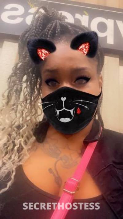 Barbie 26Yrs Old Escort Queens NY Image - 3