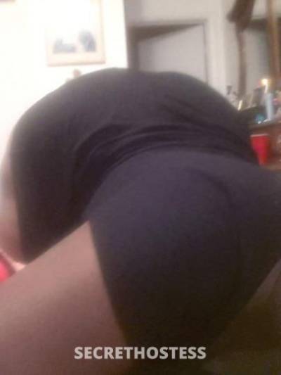 Brandi 27Yrs Old Escort Norfolk VA Image - 1