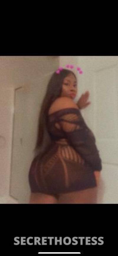 CocoDreamz 24Yrs Old Escort Seattle WA Image - 1