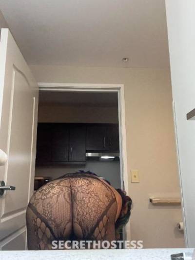 Honeybun 30Yrs Old Escort Detroit MI Image - 1