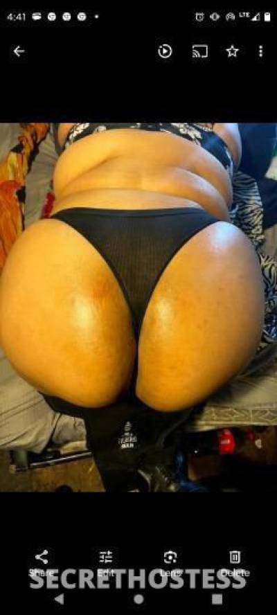 Honeybun 30Yrs Old Escort Detroit MI Image - 2