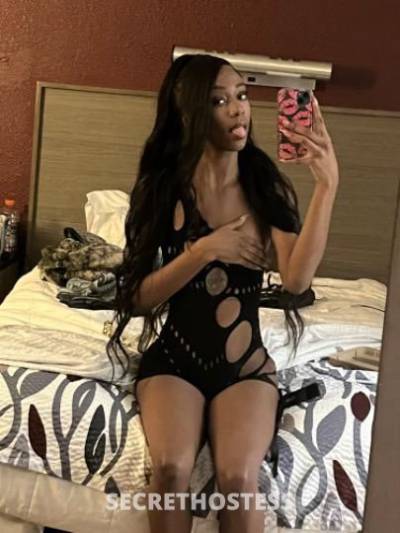 India 20Yrs Old Escort Los Angeles CA Image - 3