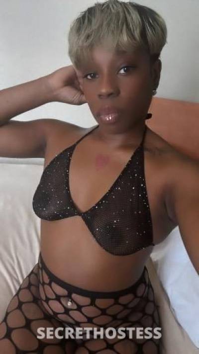 PERSUAZIVE 27Yrs Old Escort Chesapeake VA Image - 3