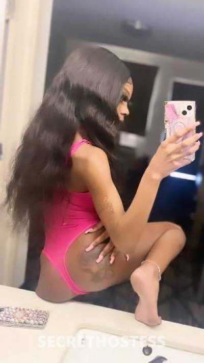 Stallion 22Yrs Old Escort Memphis TN Image - 5