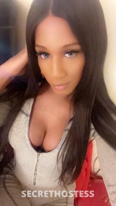 TsMalaysia 26Yrs Old Escort Long Island NY Image - 4
