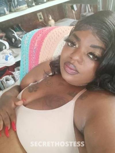 Wapcutie 31Yrs Old Escort Jackson MS Image - 5