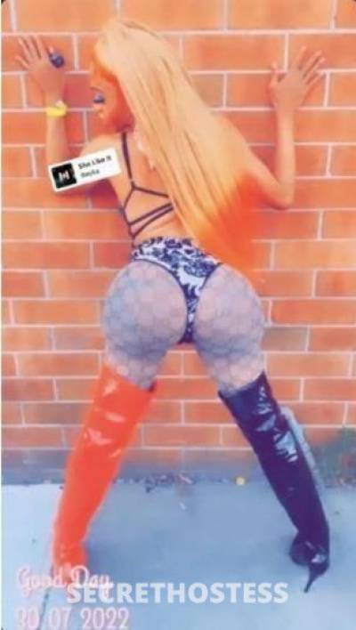 Wendy 30Yrs Old Escort Queens NY Image - 9