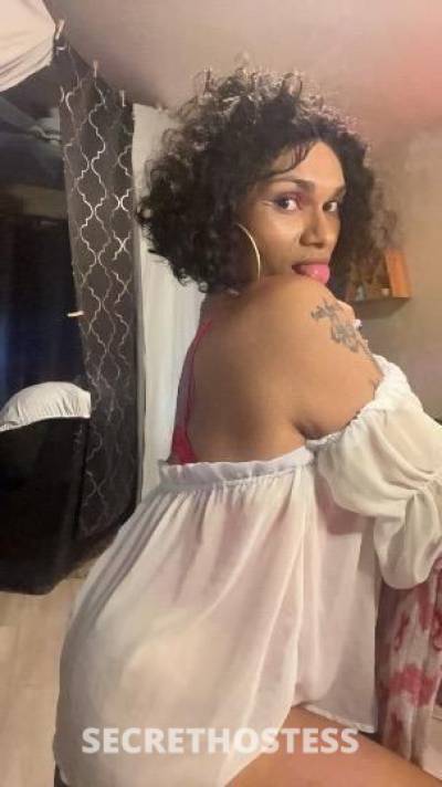 lolamonroe 30Yrs Old Escort Killeen TX Image - 4