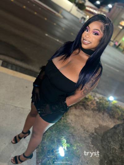 20Yrs Old Escort Size 8 Chicago IL Image - 4