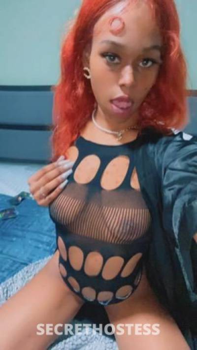 BlueTavi 21Yrs Old Escort Queens NY Image - 1