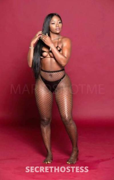 Hailey 24Yrs Old Escort San Antonio TX Image - 0