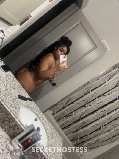 Icyy 23Yrs Old Escort Dallas TX Image - 3