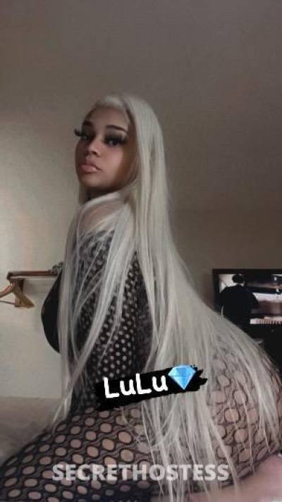 Lulu 22Yrs Old Escort Nashville TN Image - 1