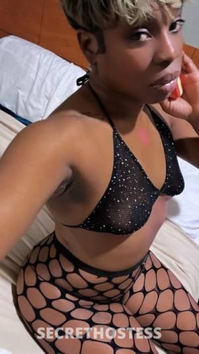 PERSUAZIVE 27Yrs Old Escort Chesapeake VA Image - 0