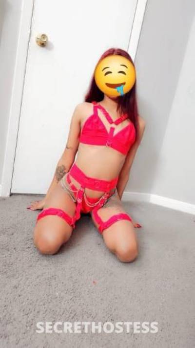 Paola 23Yrs Old Escort Houston TX Image - 0