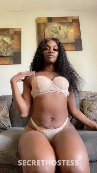 SPLASH 26Yrs Old Escort Beaumont TX Image - 0