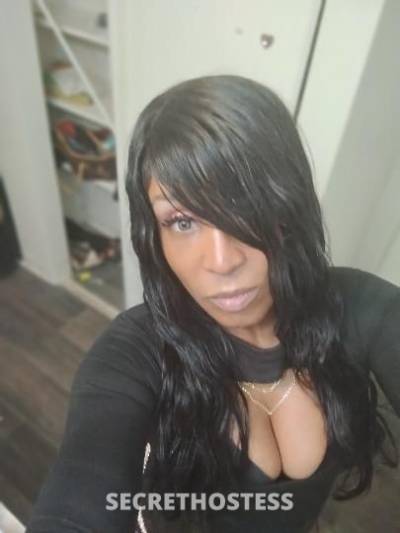 Sweetness 33Yrs Old Escort Seattle WA Image - 8