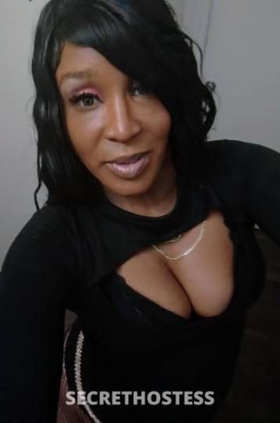 Sweetness 33Yrs Old Escort Seattle WA Image - 11