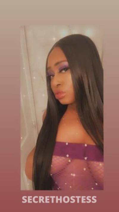 TiaMonroe,Outcalls,Incalls 27Yrs Old Escort Nashville TN Image - 5