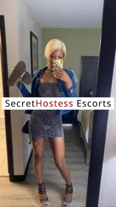 22Yrs Old Escort 63KG 172CM Tall Phoenix AZ Image - 0