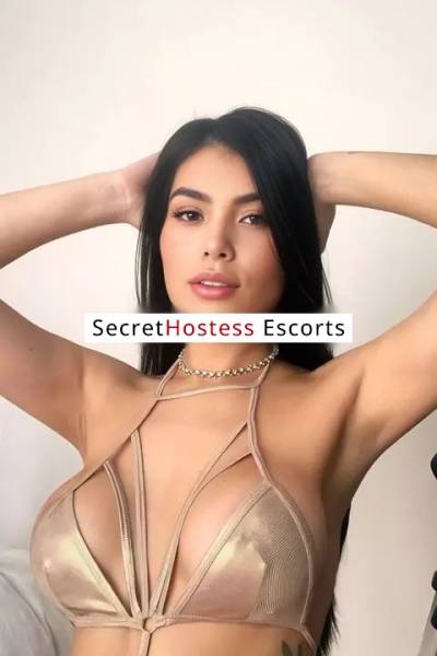 23 Year Old Colombian Escort Oslo - Image 4