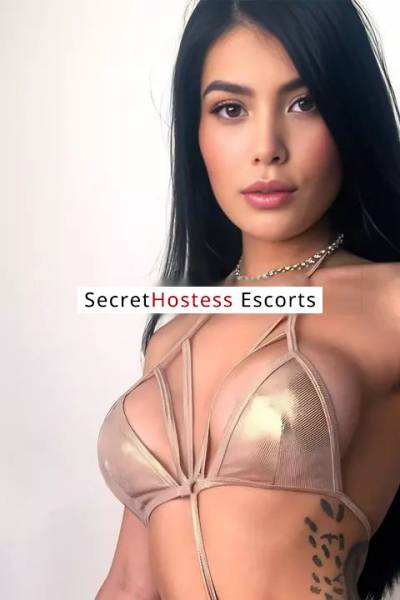 23 Year Old Colombian Escort Oslo - Image 5
