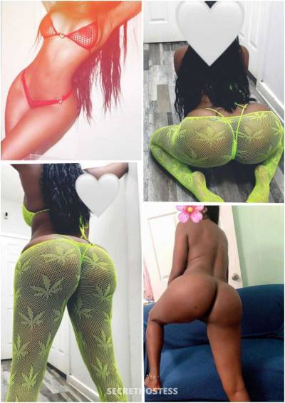 26Yrs Old Escort Bronx NY Image - 2