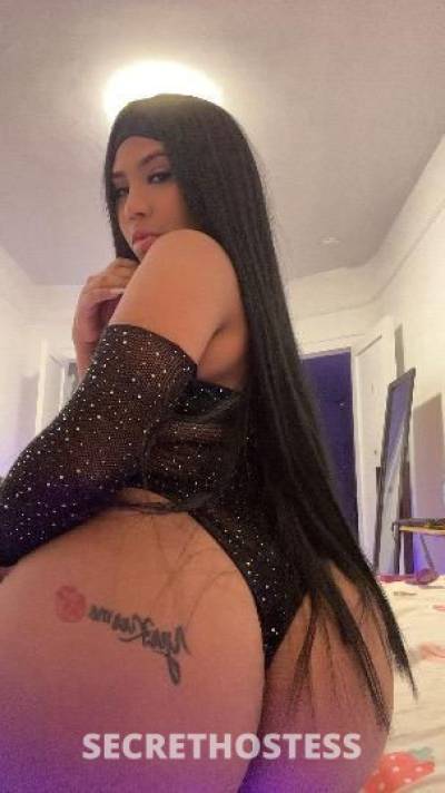 Andrea 22Yrs Old Escort Bronx NY Image - 5